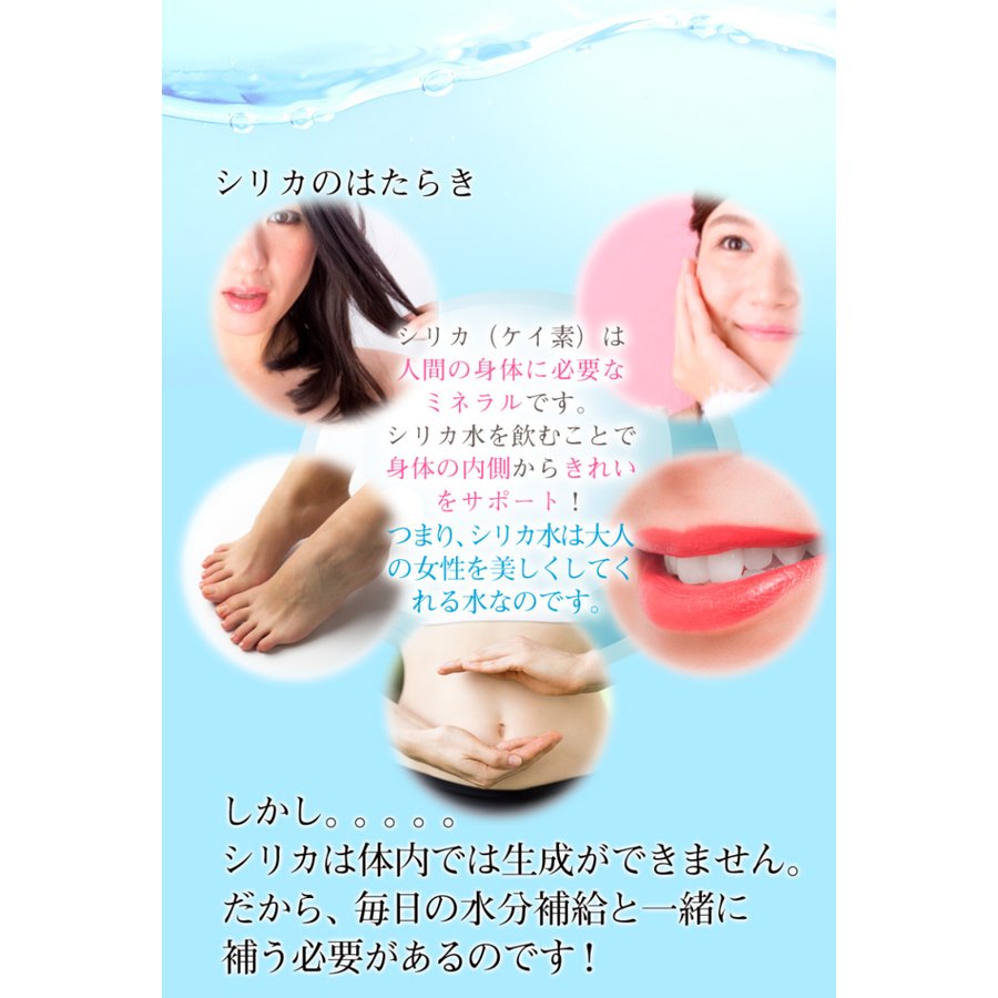 500ml 24本 高濃度シリカ水 理想のシリカ