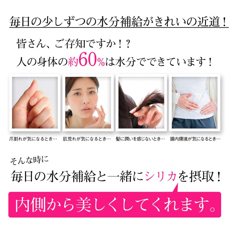 500ml 48本 高濃度シリカ水 理想のシリカ