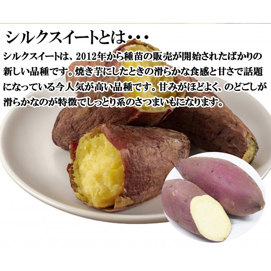 【最安値挑戦祭】シルクスイート さつまいも 5kg 産地直送 産直 土付き さつま芋 薩摩芋 焼きいも 焼き芋 鹿児島県産 FJK-001