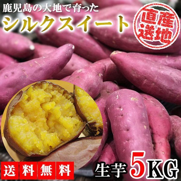【最安値挑戦祭】シルクスイート さつまいも 5kg 産地直送 産直 土付き さつま芋 薩摩芋 焼きいも 焼き芋 鹿児島県産 FJK-001