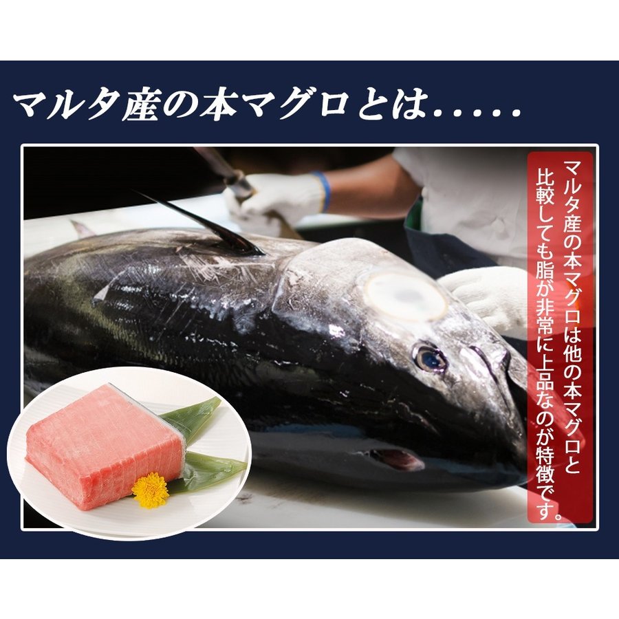 500g 本マグロ 中トロ