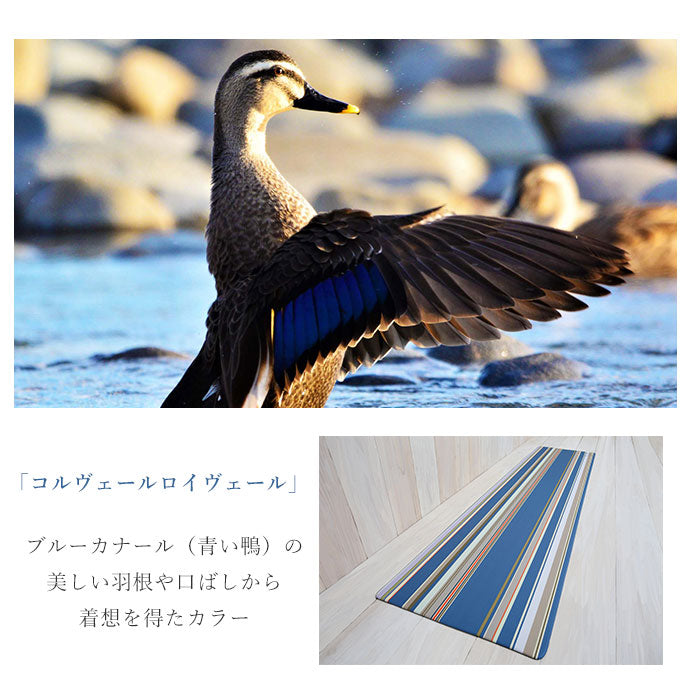 【コルヴェールロイヴェール・キッチンマット】 キッチンマット 拭ける 通販 240cm おしゃれ マット 台所マット 台所用マット 240センチ インテリア 45×240  キッチンファブリック 新築祝い ギフト お手入れ簡単 防カビ 防炎 抗菌