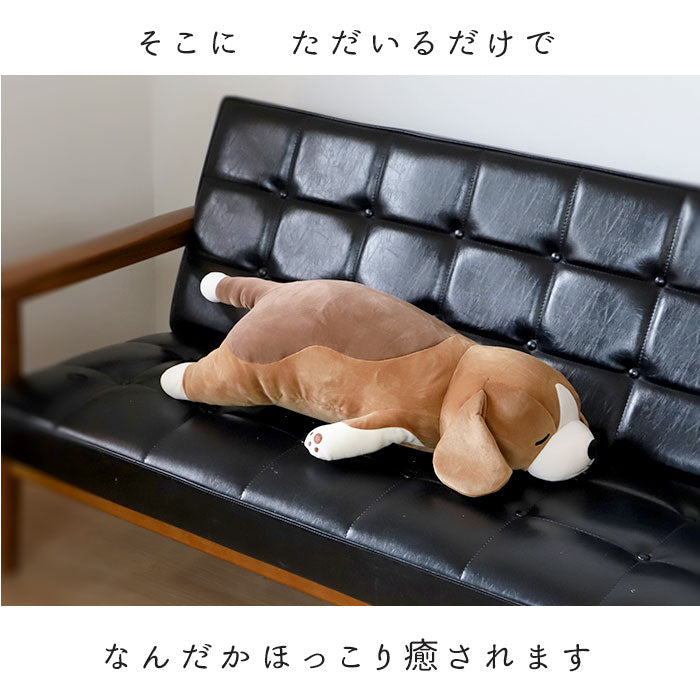 【ムギ】 抱き枕 ぬいぐるみ 通販 L 大きい ねむねむアニマルズ 抱きまくら まくら 枕 クッション だきまくら プレミアムねむねむアニマルズ 寝具 LIV HEART りぶはあと 癒し系 動物 ネコ 猫 ねこ