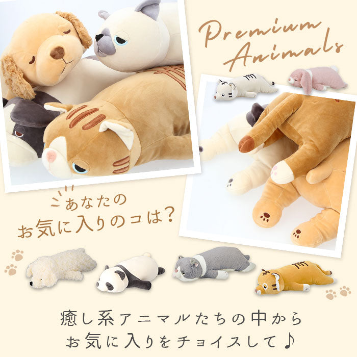 【ムギ】 抱き枕 ぬいぐるみ 通販 M ねむねむアニマルズ 抱きまくら まくら 枕 クッション だきまくら プレミアムねむねむアニマルズ 寝具 LIV HEART りぶはあと 癒し系 動物 ネコ 猫 ねこ 犬 いぬ