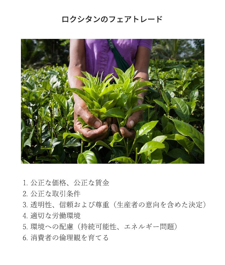 ロクシタン [ネコポス] セドラ オードトワレ LOCCITANE 香水 お試し 1.5ml アトマイザー ミニ香水