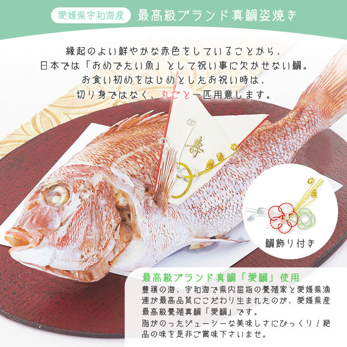 ★非掲載★お食い初め 料理 セット 【フレンチの鉄人 坂井宏行監修 フレンチお食い初め膳 - 祝い鯛姿焼きコース（鯛1kg・食器セット） - 】 歯固め石 赤飯 鯛 はまぐり 祝箸 国産天然真鯛 盛り付け済み レンジ解凍OK 送料無料