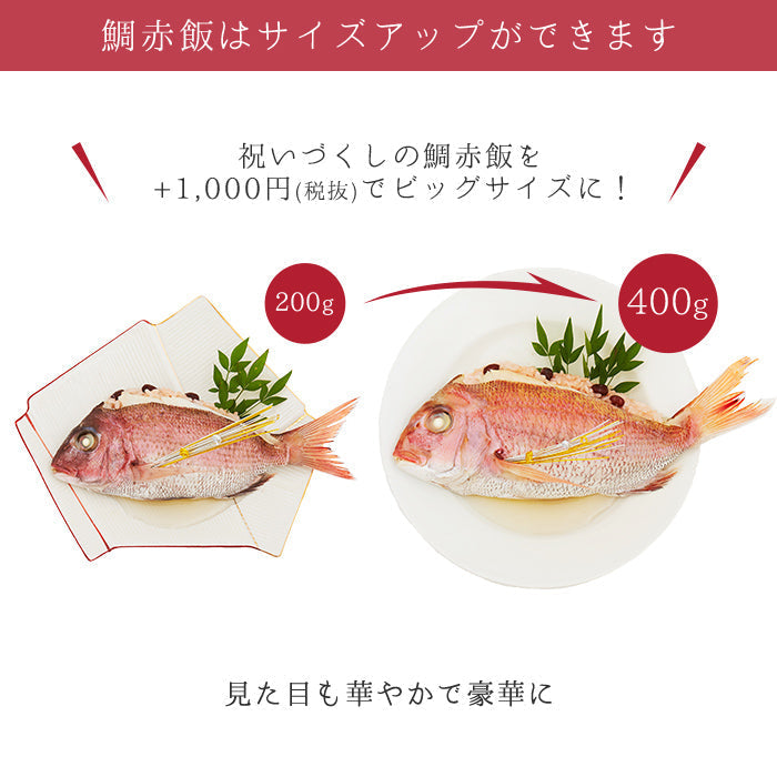 ★非掲載★服部幸應先生監修 お食い初め はじめての食育膳 レンタル食器セット(女の子用) 【MOGU】