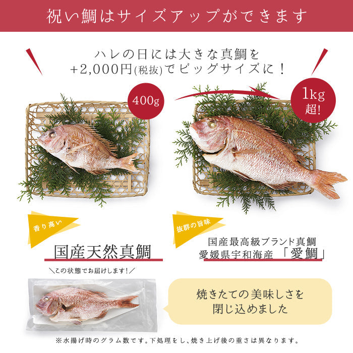 【ベビーキッズリリース記念セール】日本料理神谷監修 お食い初めセット 祝い鯛姿焼きコース 食器セット（男の子用）