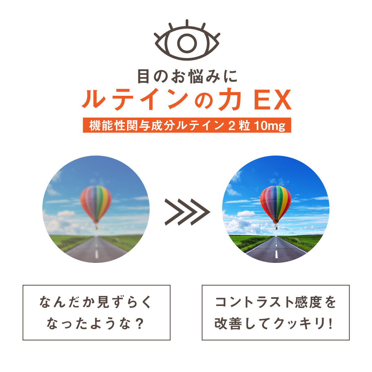 ルテイン サプリ ルテインの力EX 60粒