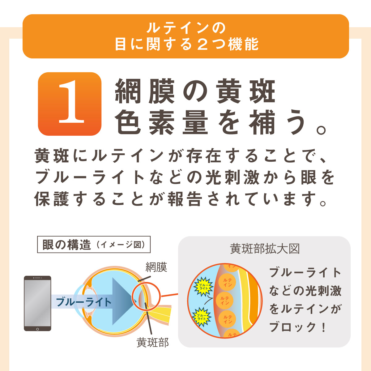 ルテイン サプリ ルテインの力EX 60粒