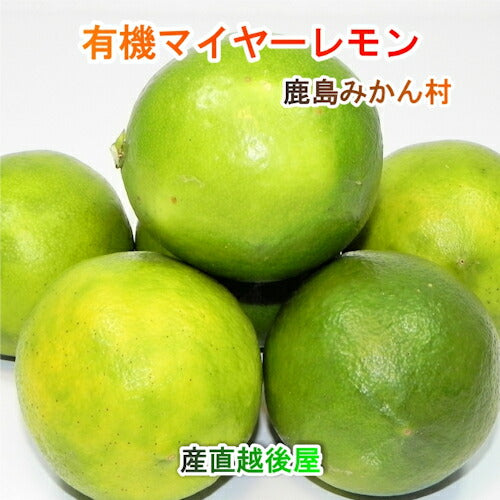 【フルーツ レモン 有機マイヤーレモン】佐賀県 鹿島市 有機みかん佐藤農場有機転換マイヤーレモン 3kg採りたてを農園から産地直送 送料無料【ミカン 果実 ギフト 無農薬栽培】