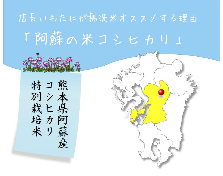 米 送料無料 無洗米 2kg 熊本県産阿蘇こしひかり　特別栽培米無洗米 ２kg×１個
