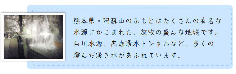 米 送料無料 無洗米 2kg 熊本県産阿蘇こしひかり　特別栽培米無洗米 ２kg×１個