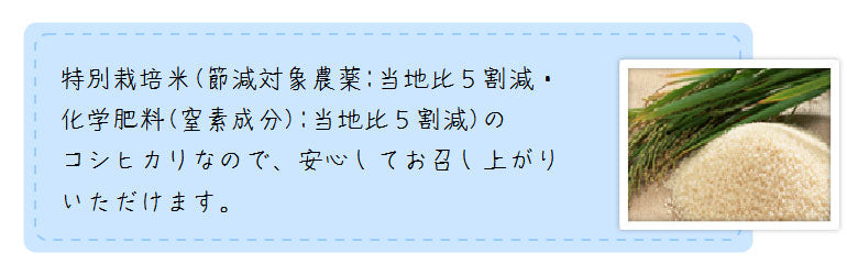 米 送料無料 無洗米 2kg 熊本県産阿蘇こしひかり　特別栽培米無洗米 ２kg×１個
