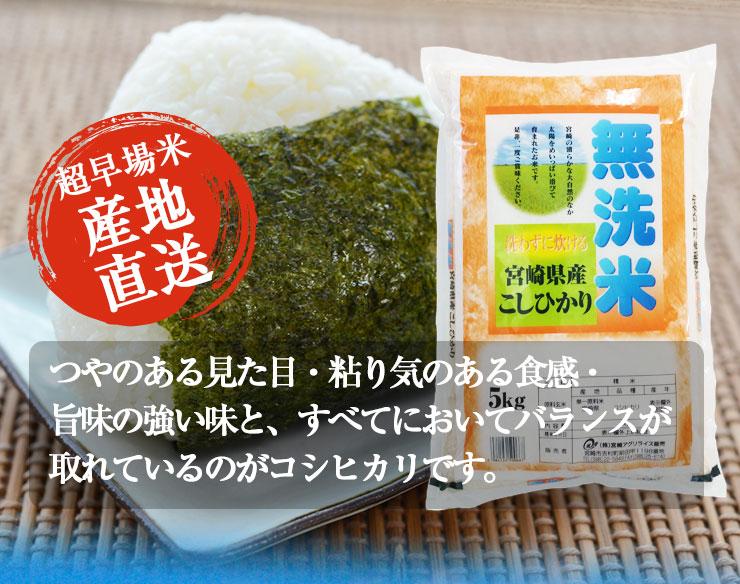 【限定30セット特別価格】新米　無洗米 こしひかり 10kg（5kg×2袋）令和3年度 宮崎県産
