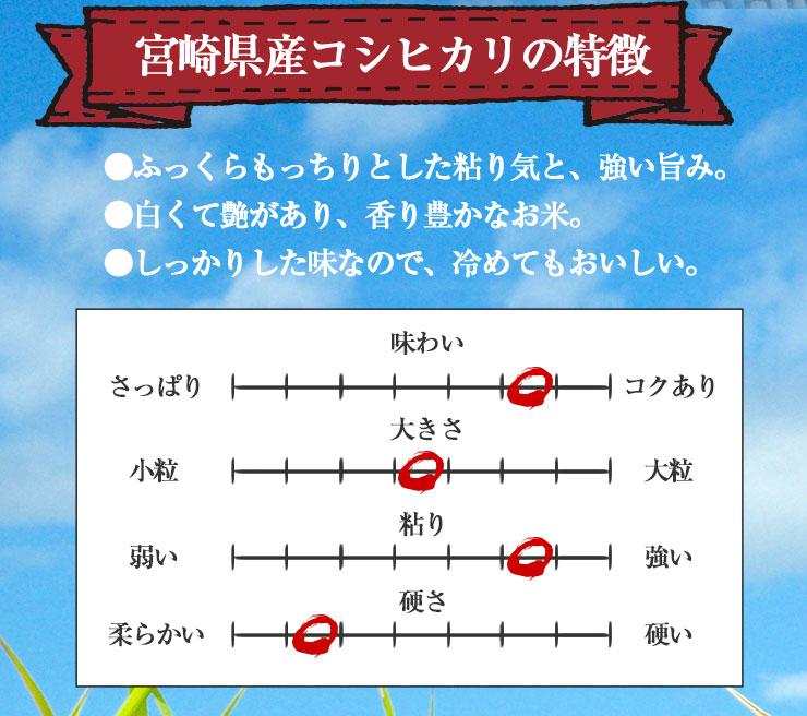 【限定30セット特別価格】新米　無洗米 こしひかり 10kg（5kg×2袋）令和3年度 宮崎県産