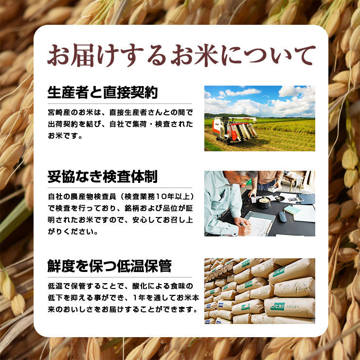 【新米】無洗米 こしひかり 10kg（5kg×2袋）令和3年度 宮崎県産