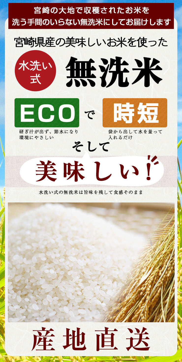 新米 無洗米 こしひかり 20kg（5kg×4袋）令和3年 宮崎県産