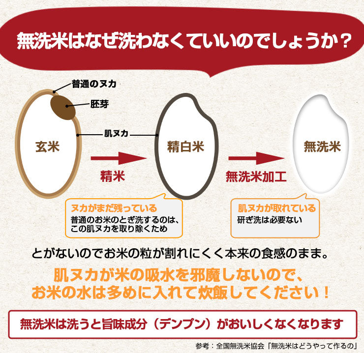 新米 無洗米 こしひかり15kg（5kg×3袋）令和3年度 宮崎県産