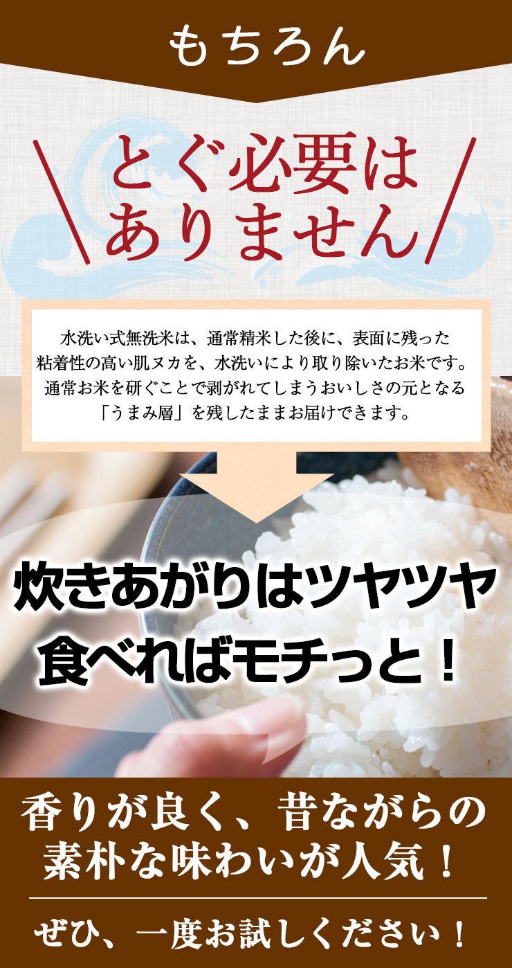 【限定30セット特別価格】新米　無洗米 こしひかり 10kg（5kg×2袋）令和3年度 宮崎県産