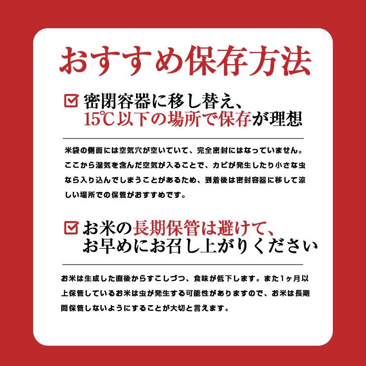 【限定30セット特別価格】新米　無洗米 こしひかり 10kg（5kg×2袋）令和3年度 宮崎県産