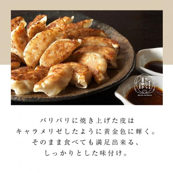 50個入り10人前 黒トリュフ香る 厳選豚餃子（セレブゥ餃子）