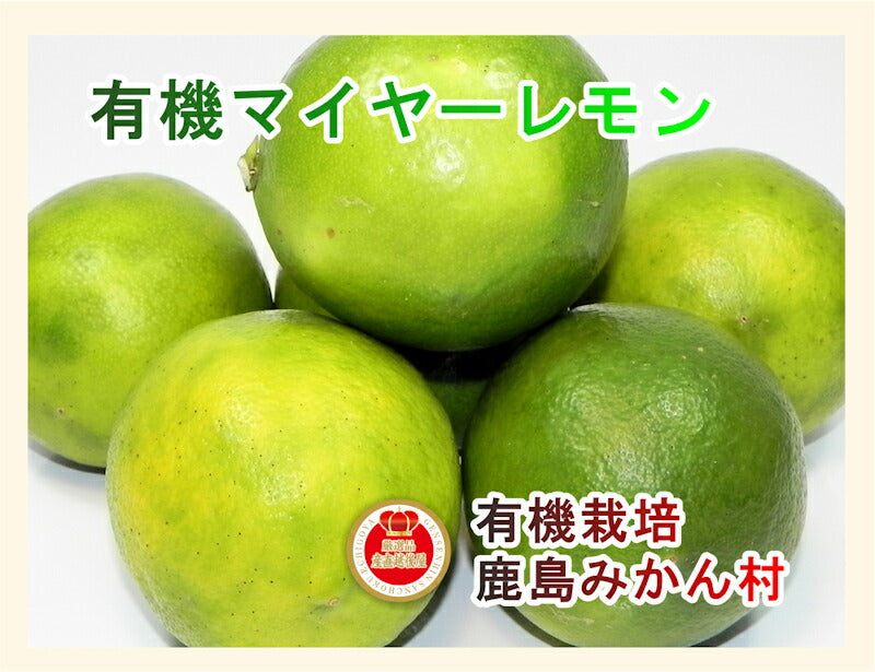 【フルーツ レモン 有機マイヤーレモン】佐賀県 鹿島市 有機みかん佐藤農場有機転換マイヤーレモン 5kg採りたてを農園から産地直送 送料無料【ミカン 果実 ギフト 無農薬栽培】