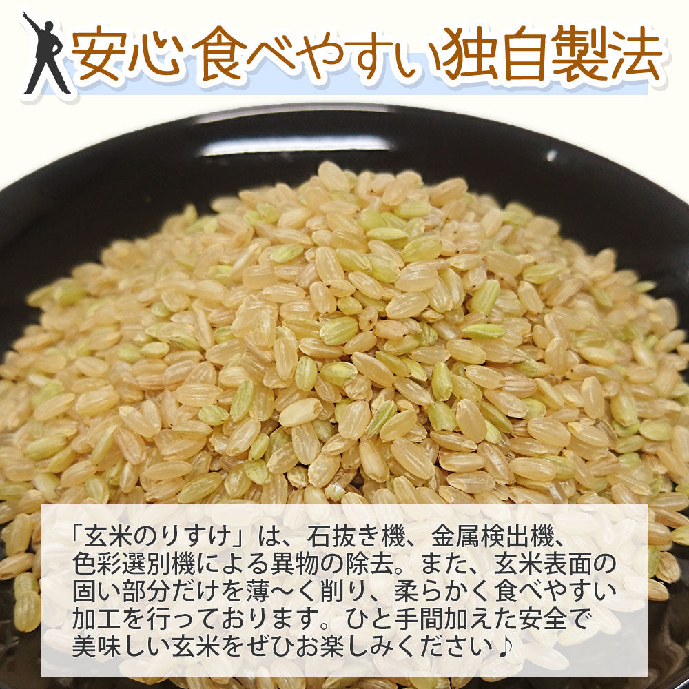 玄米 30kg 玄米のりすけ 国内産 送料無料 30キロ 米 こめ コメ お米