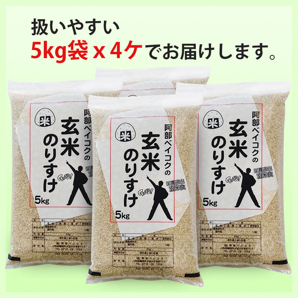 玄米 20kg (5kg×4袋) 玄米のりすけ 国内産 送料無料 20キロ 米 こめ コメ お米