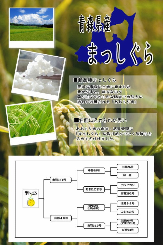 令和2年産青森県産まっしぐら 10kg（5kg×2）