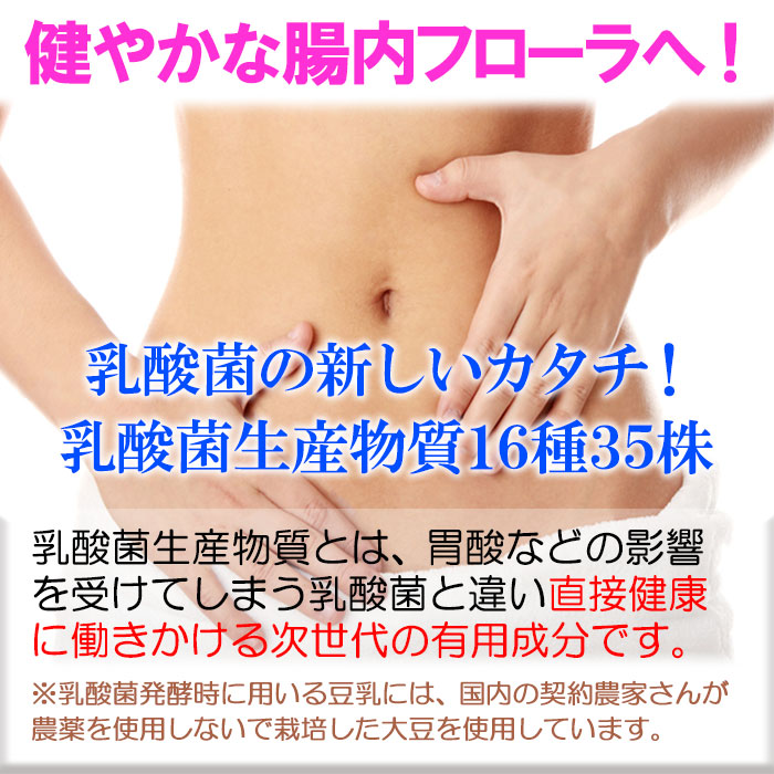 ダイエット抹茶ラテ約15杯【管理栄養士監修】乳酸菌 酵素 レタス8玉分の食物繊維