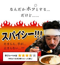 水炊きカレー 3袋 【鶏のお出汁を凝縮】レトルトカレー ご当地カレー カレー　食品 お取り寄せ レトルト食品 備蓄 常温保存 博多 九州 水炊き 送料無料 メール便 ポスト投函 ポイント消化