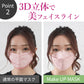 Aタイプ   Make Up Mask-Atype　3D立体 血色マスク　50枚