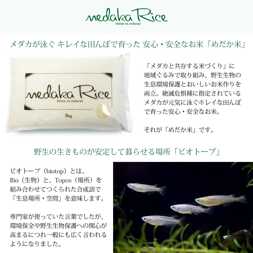 【限定クーポンで20%OFF】【メダカが泳ぐキレイな田んぼで育ったお米】 めだか米 はえぬき 無洗米 20kg (5kg×4袋) 山形県産 令和3年産 送料無料 20キロ 米 こめ コメ お米 精米 新米