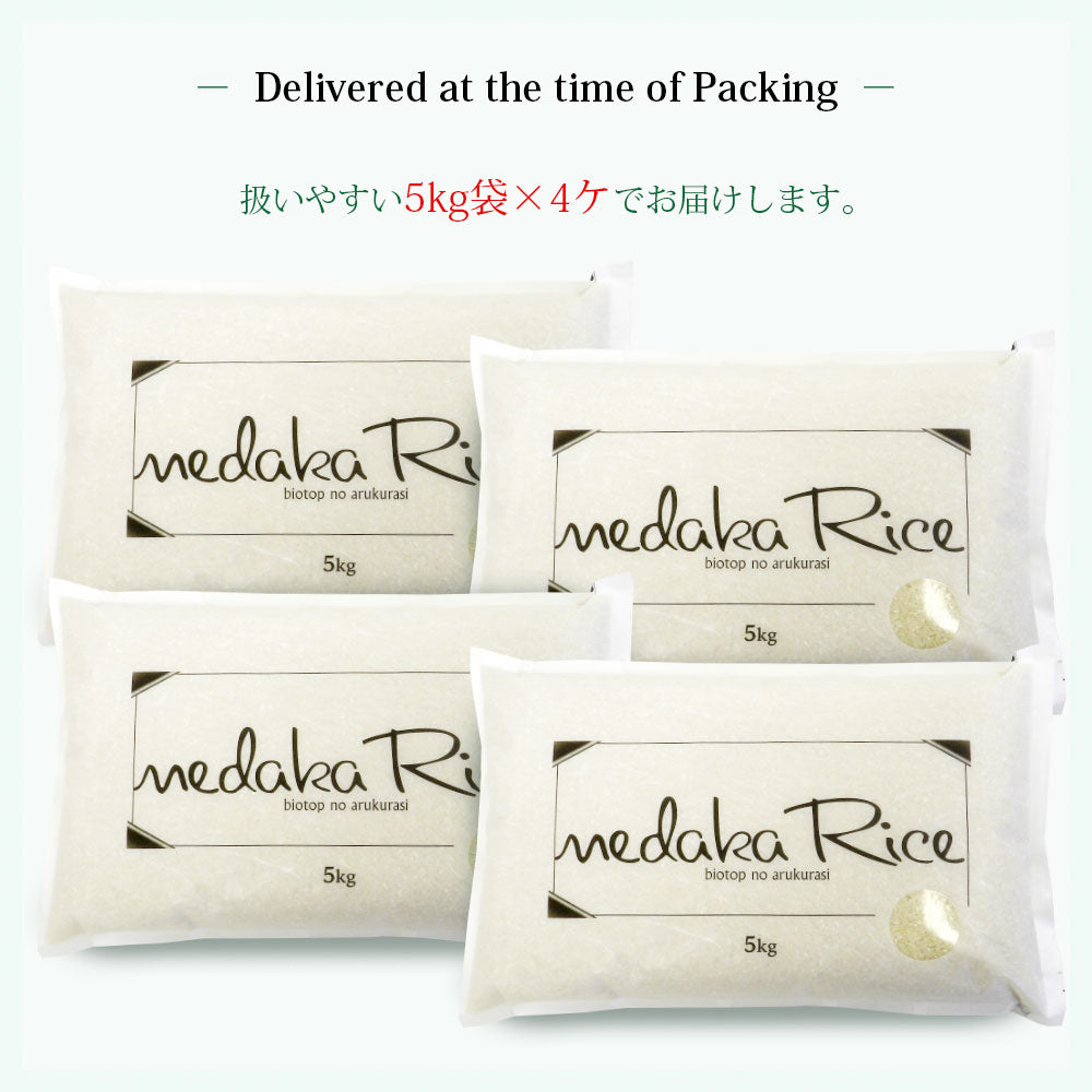 【限定クーポンで20%OFF】【メダカが泳ぐキレイな田んぼで育ったお米】 めだか米 はえぬき 無洗米 20kg (5kg×4袋) 山形県産 令和3年産 送料無料 20キロ 米 こめ コメ お米 精米 新米