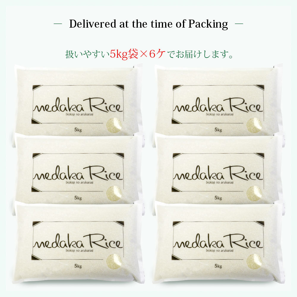 【限定クーポンで20%OFF】【白米】 はえぬき5割入りブレンド 10kg 山形県産 令和3年産 送料無料 10キロ 米 こめ コメ お米 精米 新米
