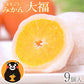 【30人シェア買い企画】和菓子 高級 ギフト お取り寄せ まるごと みかん 大福 9個 送料無料