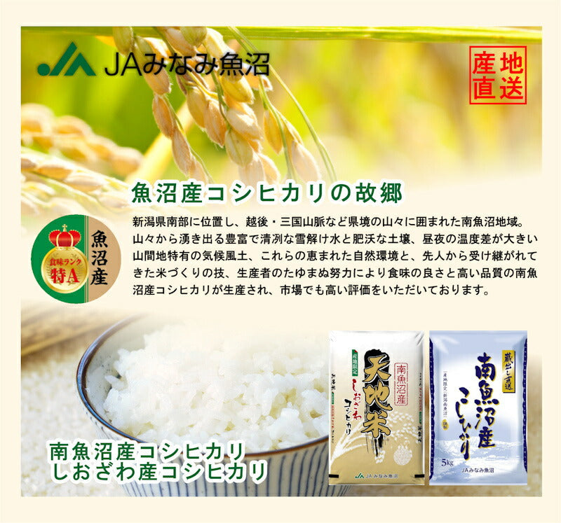 【送料込み】令和５年産 南魚沼産 コシヒカリ5kg 雪穂 新潟県 南魚沼 JAみなみ魚沼農協特Ａ地区 特別栽培米