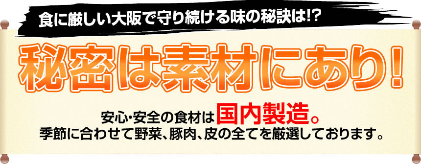 【限定クーポンで20%OFF】餃子大阪王将 ミラクルセット
