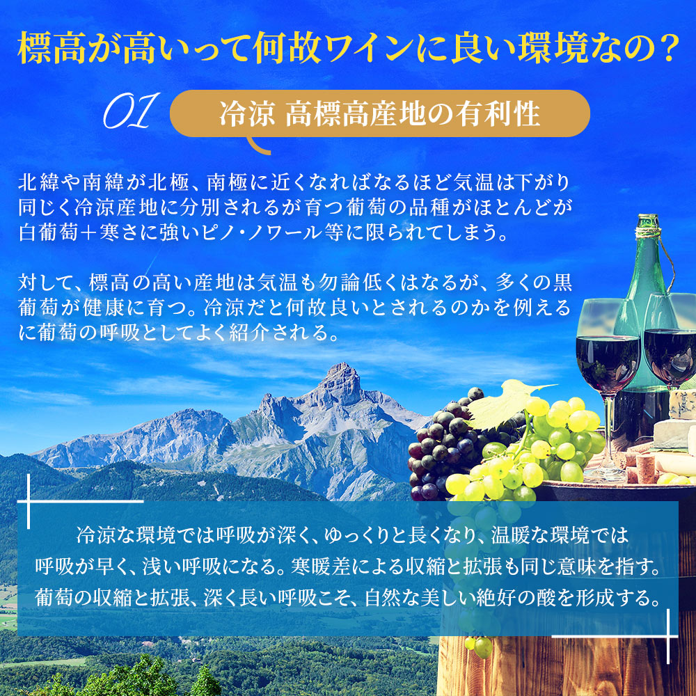 【送料無料】有名女性醸造家ロザリアが作るナチュラルワインヴァラエタルの違いが楽しいワインセットミリストリアス バラエティセット [750ml×6本]【北海道・東北・四国・九州・沖縄県は必ず送料がかかります】