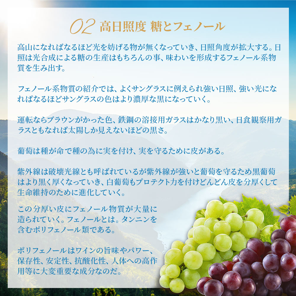 【送料無料】有名女性醸造家ロザリアが作るナチュラルワインヴァラエタルの違いが楽しいワインセットミリストリアス バラエティセット [750ml×6本]【北海道・東北・四国・九州・沖縄県は必ず送料がかかります】
