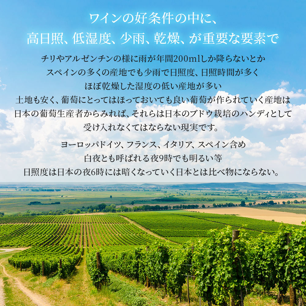 【送料無料】北海道 余市の正真正銘日本産自然派ワインミソノヴィンヤード[ 750ml×2本] ワイン セット オーガニック 自然派 ナチュラルワイン【北海道・東北・四国・九州・沖縄県は必ず送料がかかります】