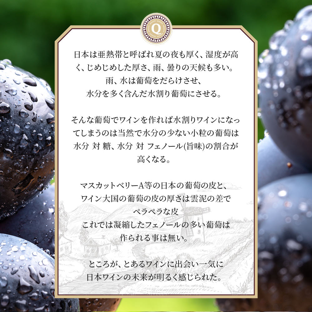 【送料無料】北海道 余市の正真正銘日本産自然派ワインミソノヴィンヤード[ 750ml×2本] ワイン セット オーガニック 自然派 ナチュラルワイン【北海道・東北・四国・九州・沖縄県は必ず送料がかかります】