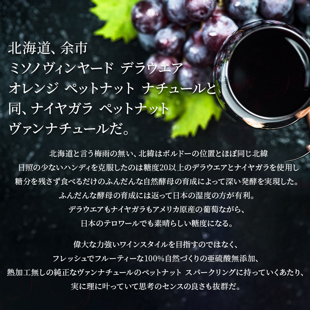 【送料無料】北海道 余市の正真正銘日本産自然派ワインミソノヴィンヤード[ 750ml×2本] ワイン セット オーガニック 自然派 ナチュラルワイン【北海道・東北・四国・九州・沖縄県は必ず送料がかかります】