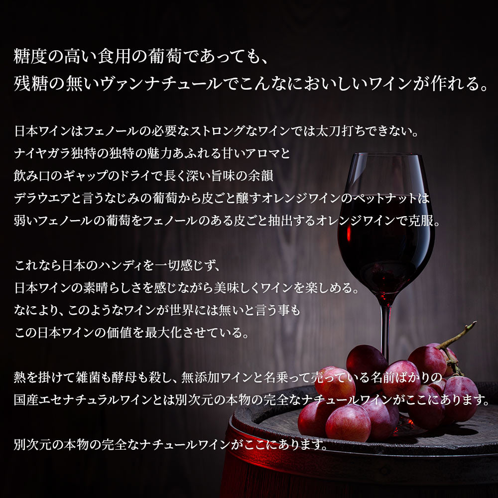 【送料無料】北海道 余市の正真正銘日本産自然派ワインミソノヴィンヤード[ 750ml×2本] ワイン セット オーガニック 自然派 ナチュラルワイン【北海道・東北・四国・九州・沖縄県は必ず送料がかかります】