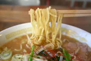 北海道　うま味ラーメン１２食セット