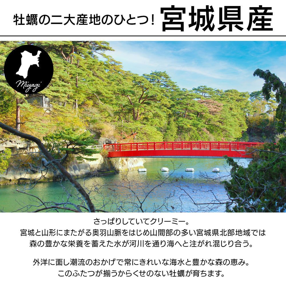 宮城県産 冷凍むき牡蠣 1kg Mサイズ (約50粒前後)  加熱調理用 冷凍かき カキ 三陸産 石巻 女川 東松島 業務用 hsk