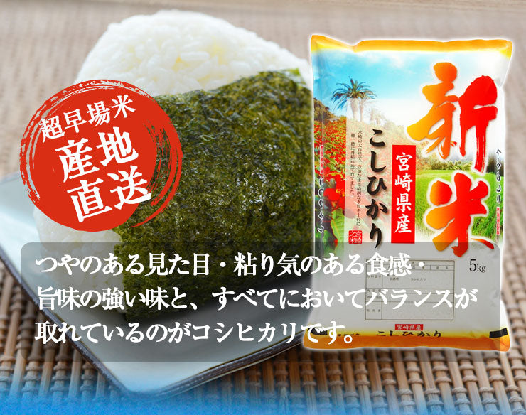 【新米】コシヒカリ 白米 20kg(5kg×4袋) 令和３年 宮崎県産