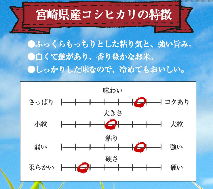 新米 コシヒカリ 白米 10kg(5kg×2袋) 令和３年 宮崎県産