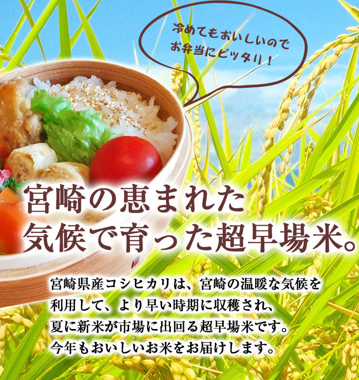 【新米】コシヒカリ 白米 20kg(5kg×4袋) 令和３年 宮崎県産